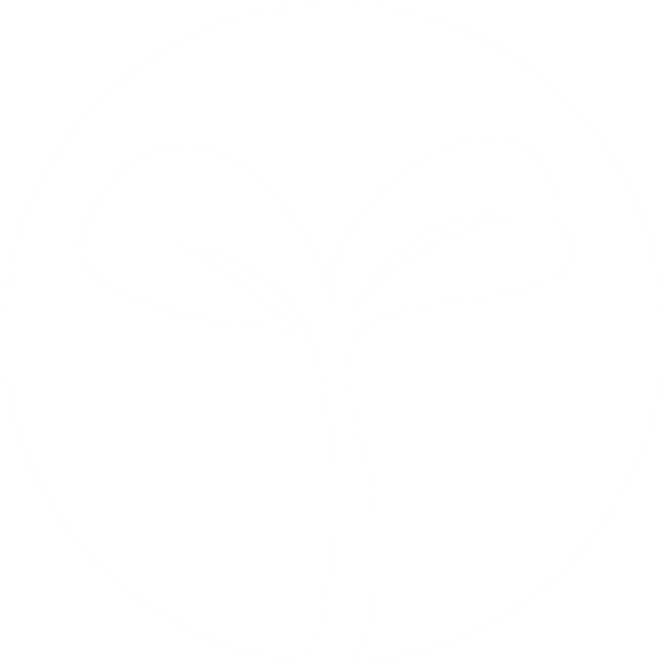 2Leaf Microgreens