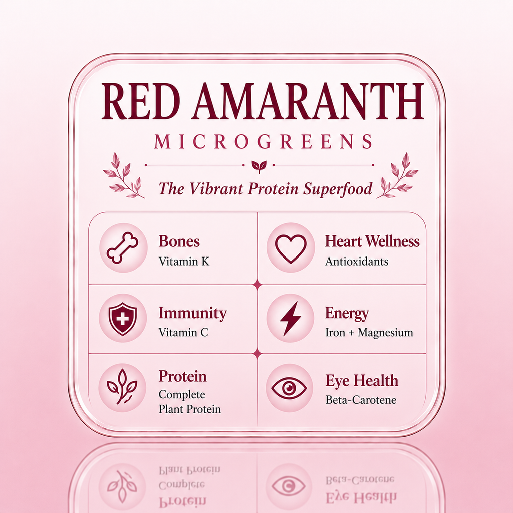 Red Amranthus