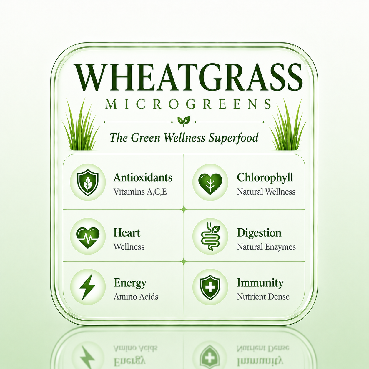 Wheat grass