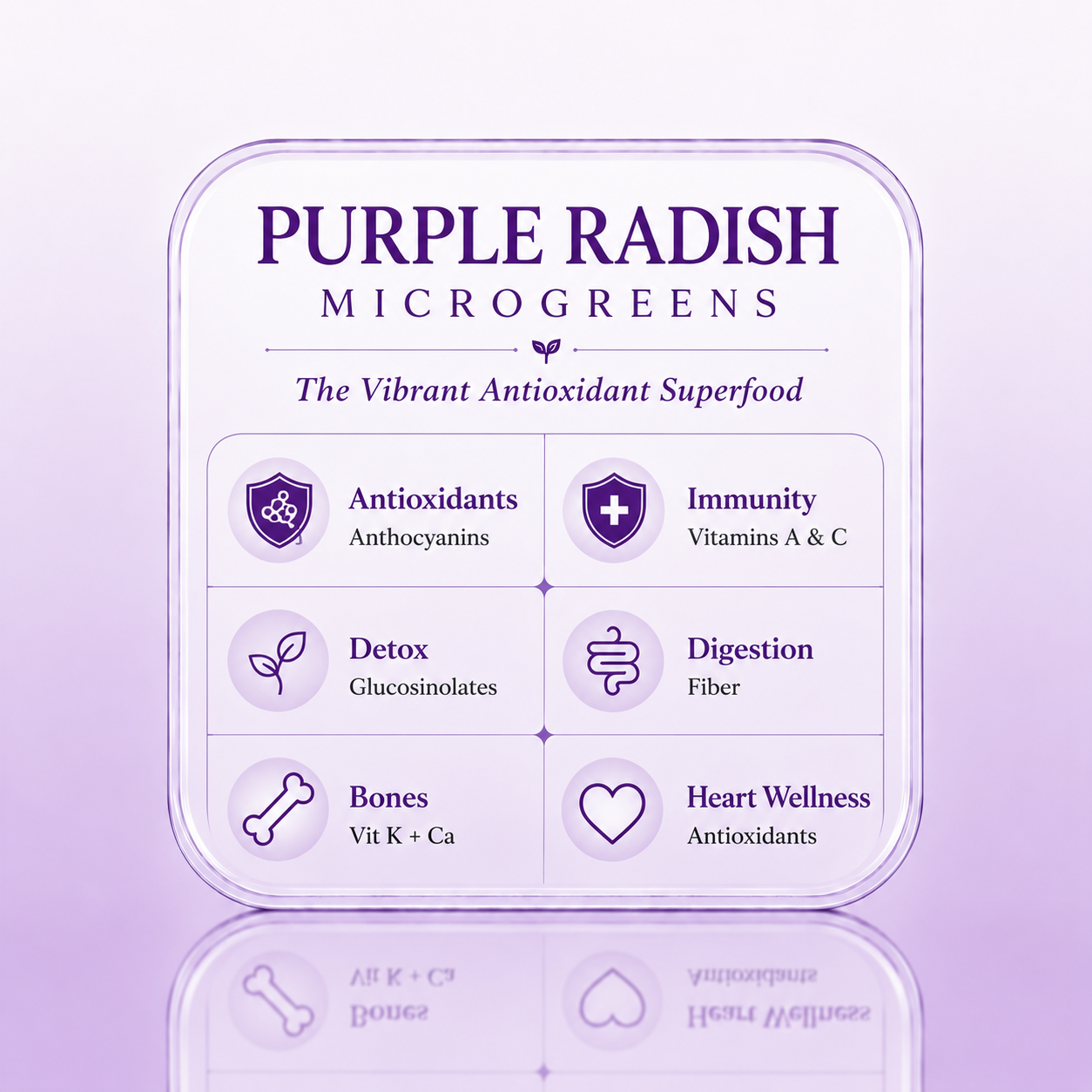 Purple Radish