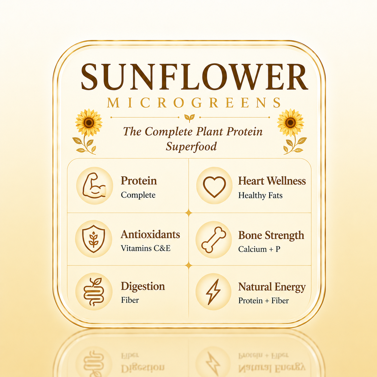Sunflower