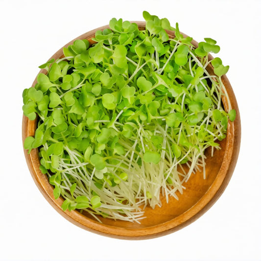 Micro Broccoli