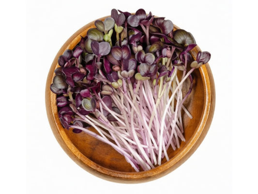 Red radish