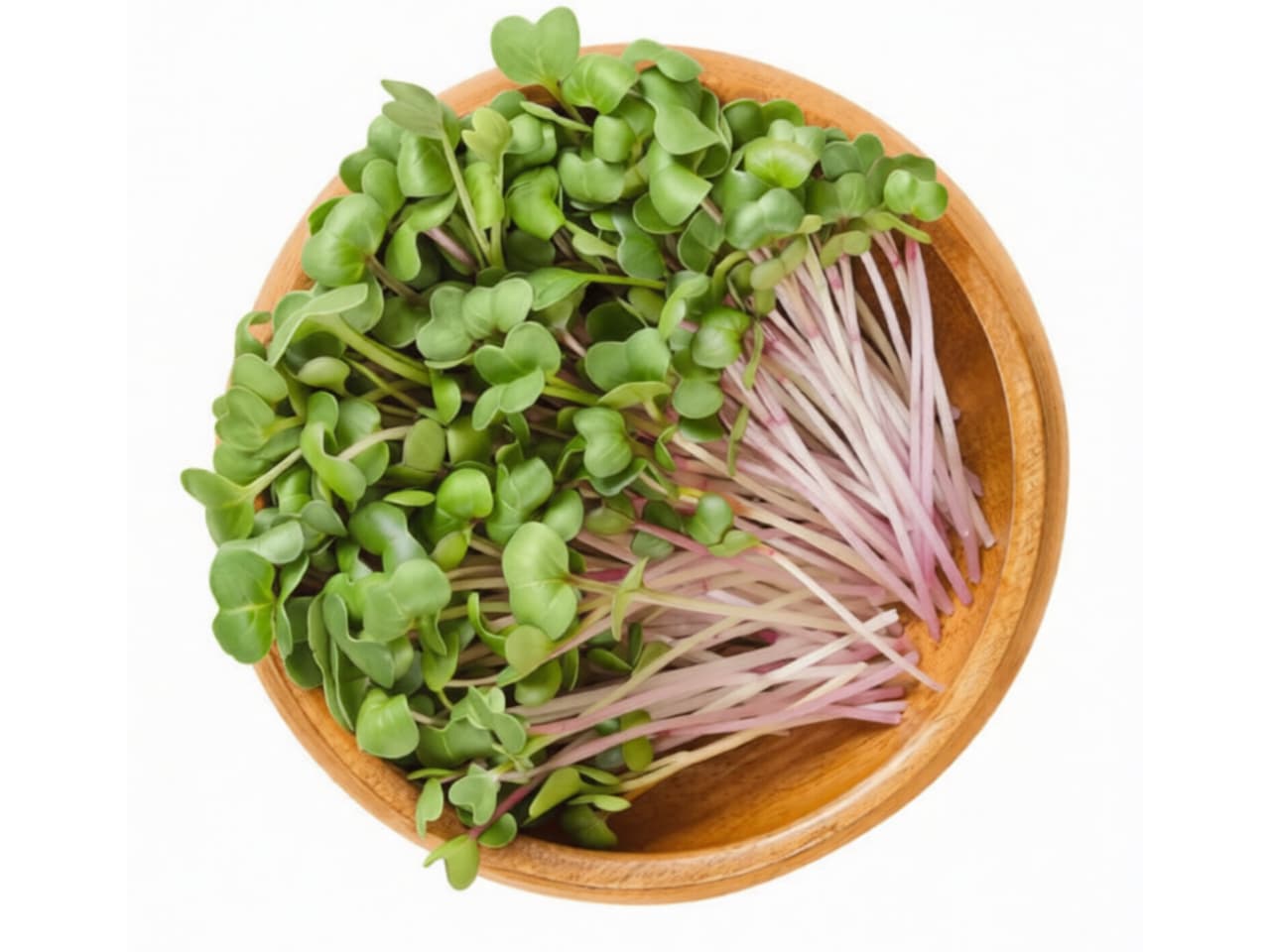 Radish