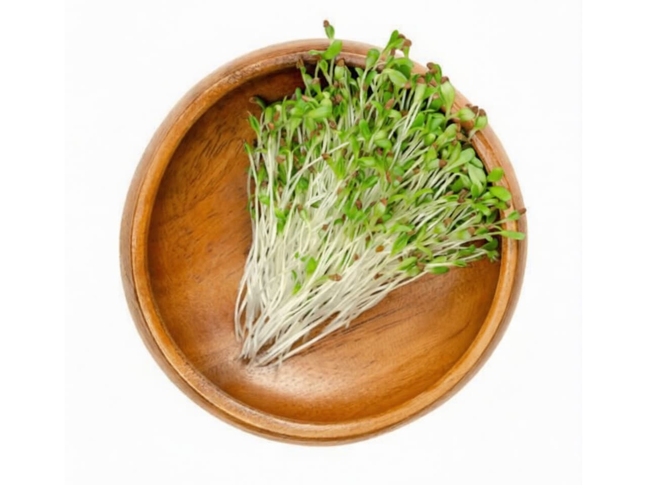 Alfalfa