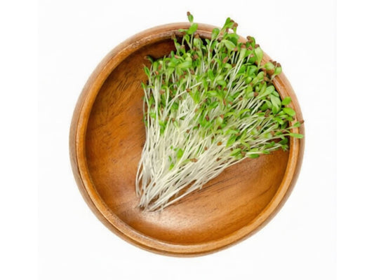 Alfalfa