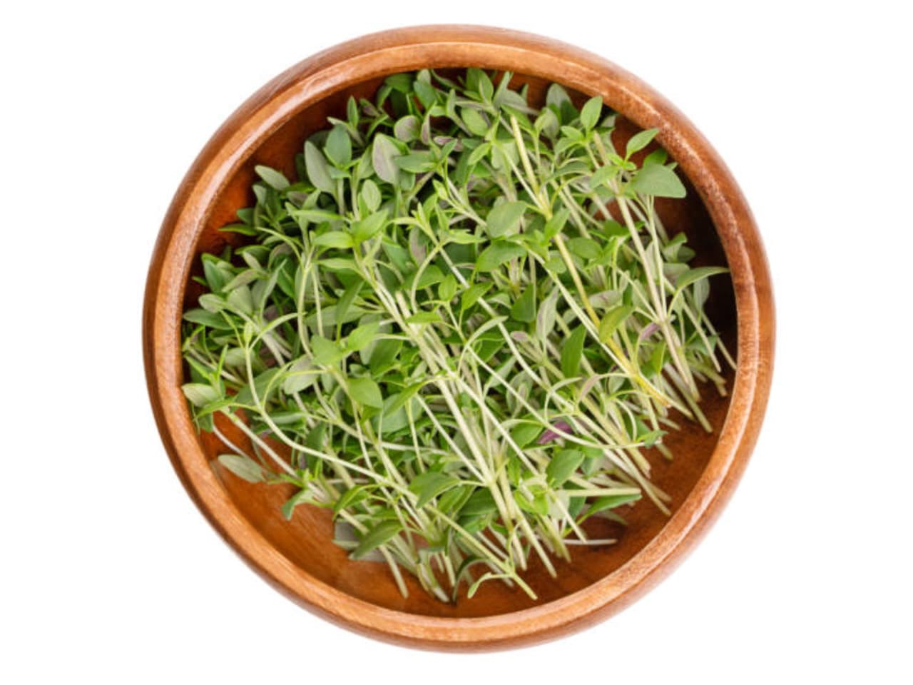Thymus