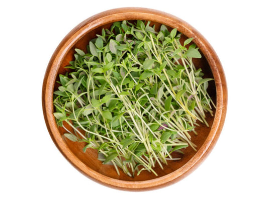 Thymus