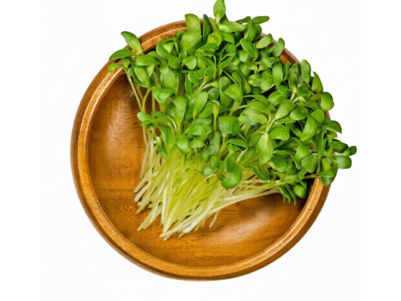 Fenugreek