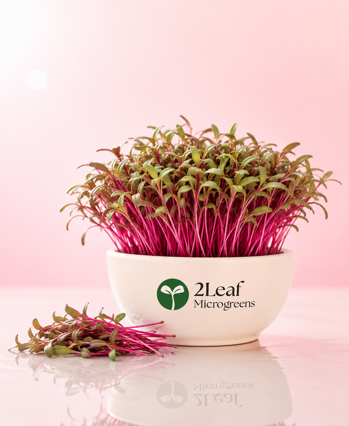 Beet