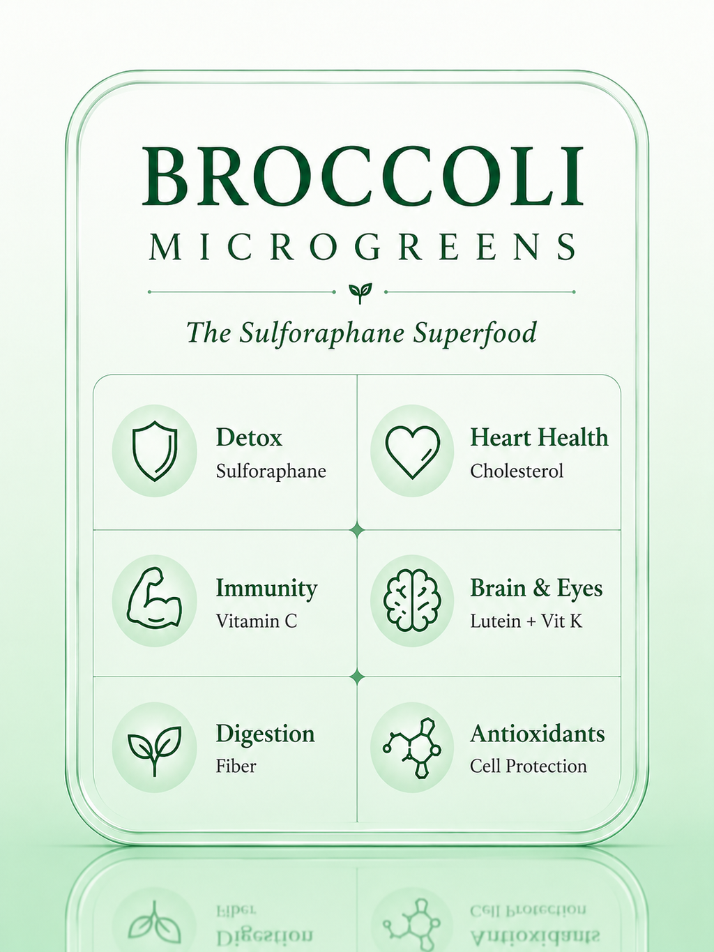 Broccoli
