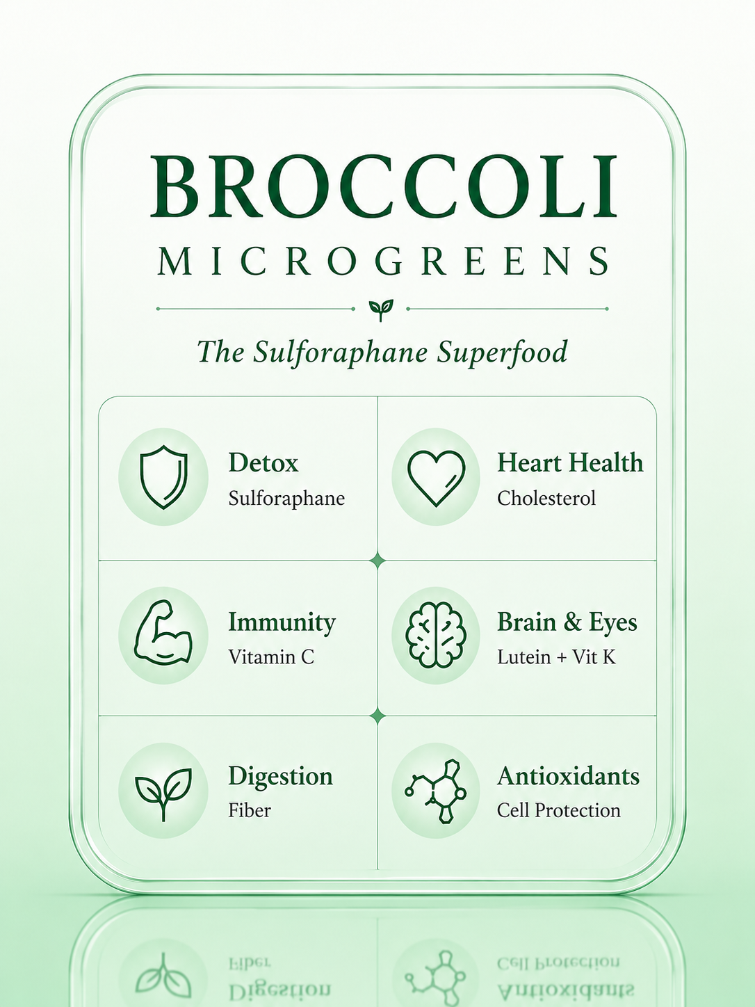 Broccoli