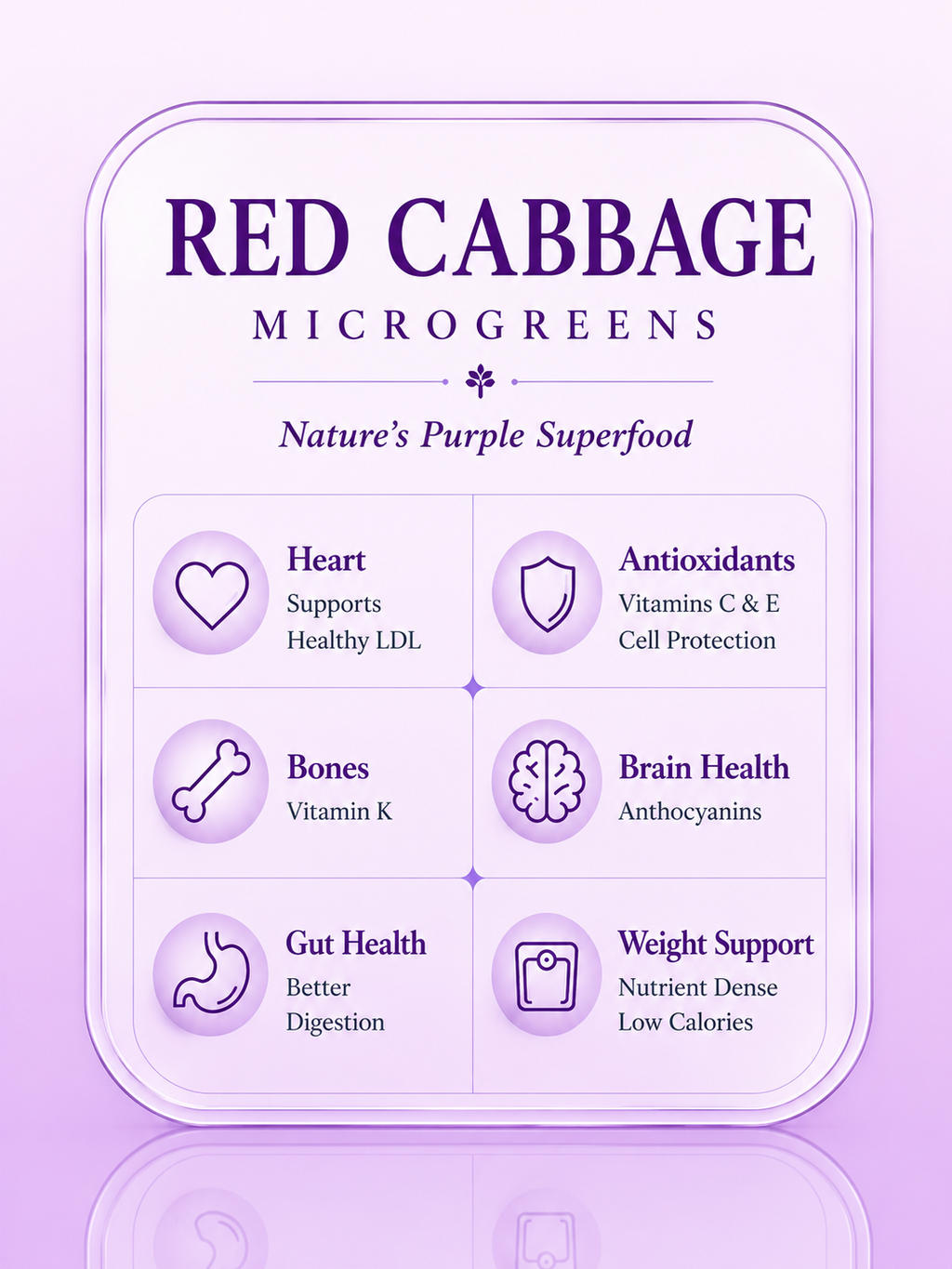 Red cabbage